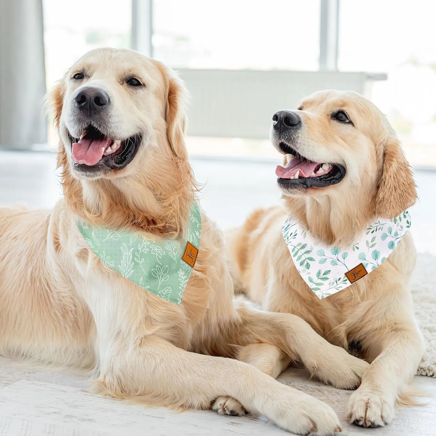 2Pcs Boho Eucalyptus Leaves Dog Bandana Elegant Green Leaves Print Fabric Pet Scarf Medium Size Adjustable Dog Bibs for Pet Birthday Costume Accessories
