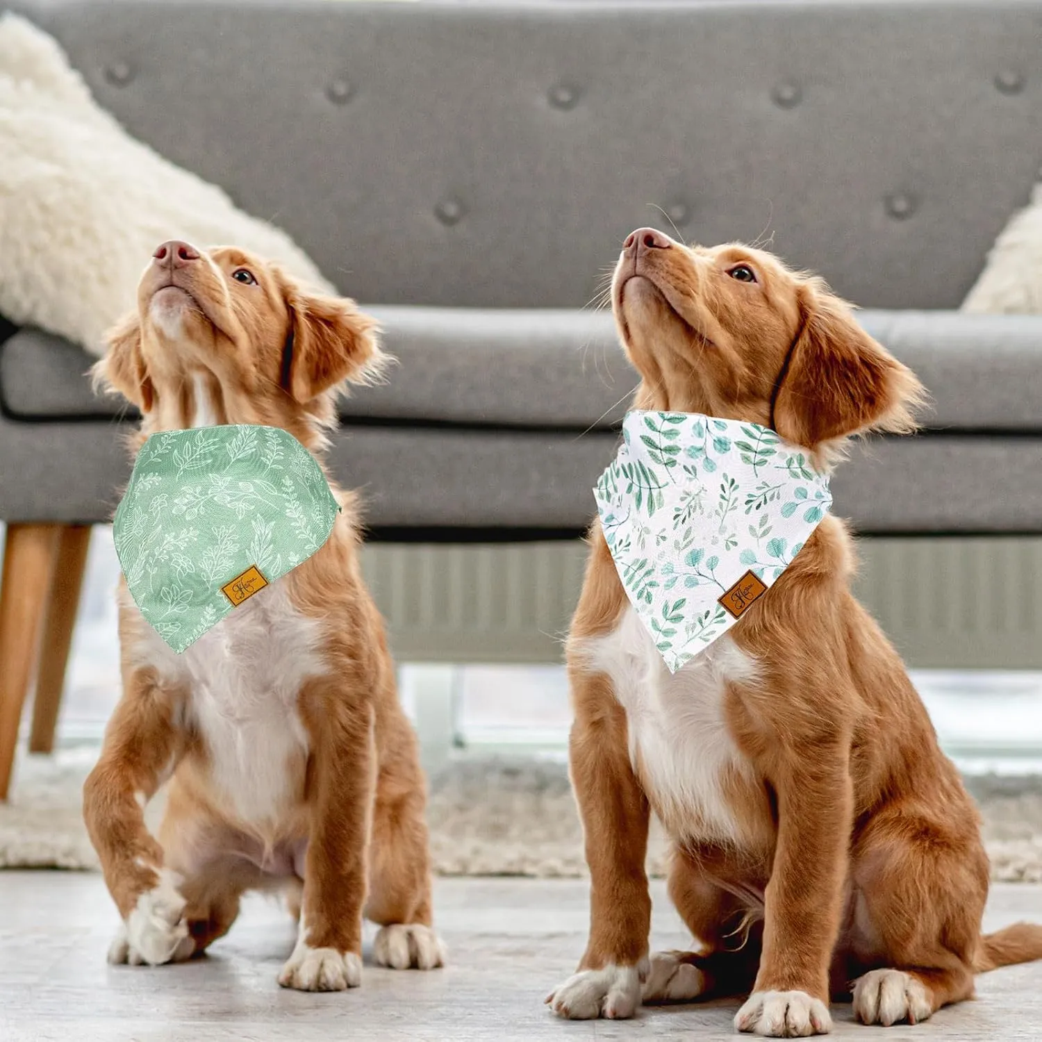 2Pcs Boho Eucalyptus Leaves Dog Bandana Elegant Green Leaves Print Fabric Pet Scarf Medium Size Adjustable Dog Bibs for Pet Birthday Costume Accessories