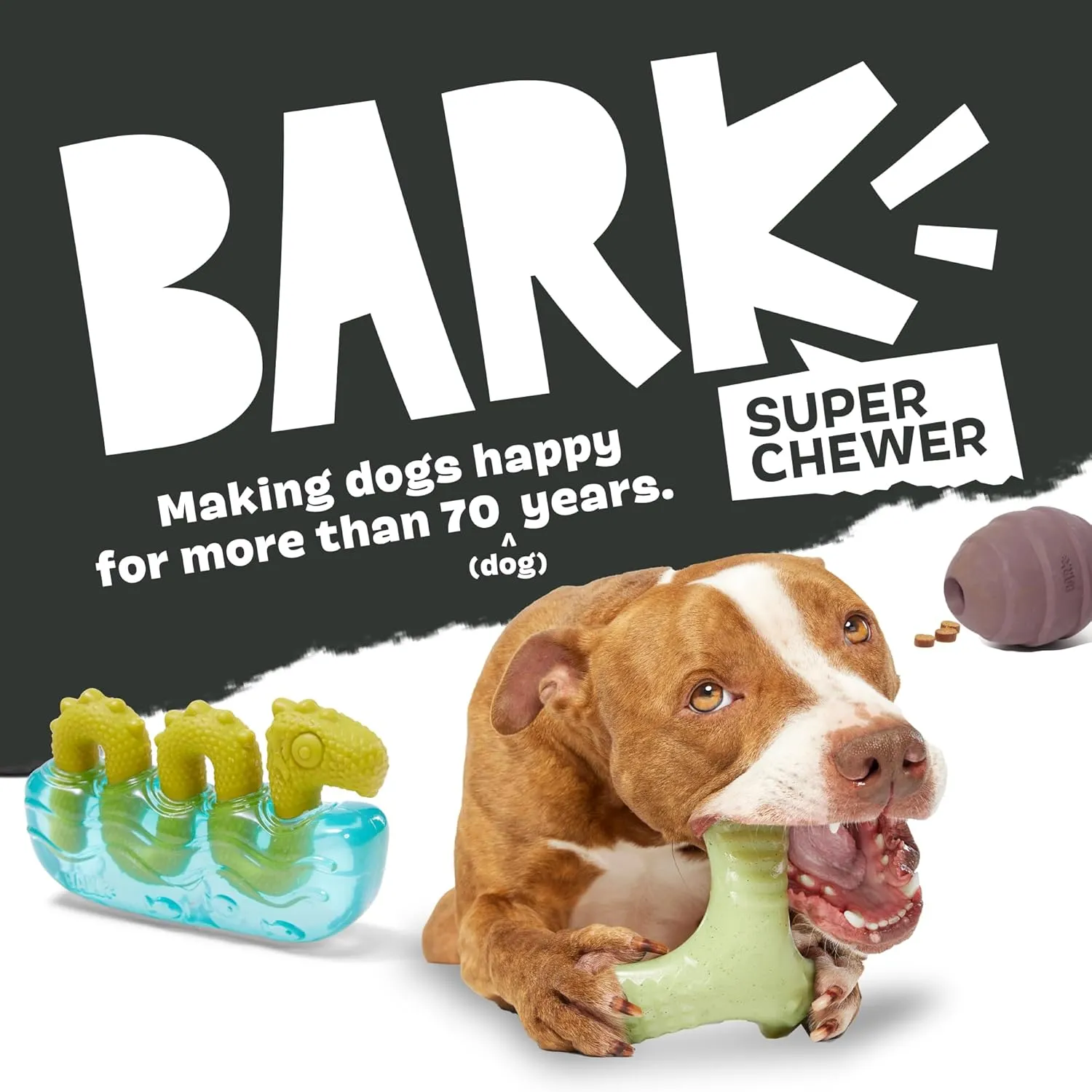 Barkbox Potato 2-in-1 Dog Toy - Tough Plush Squeaky Chew Toy for Large Dogs | Large