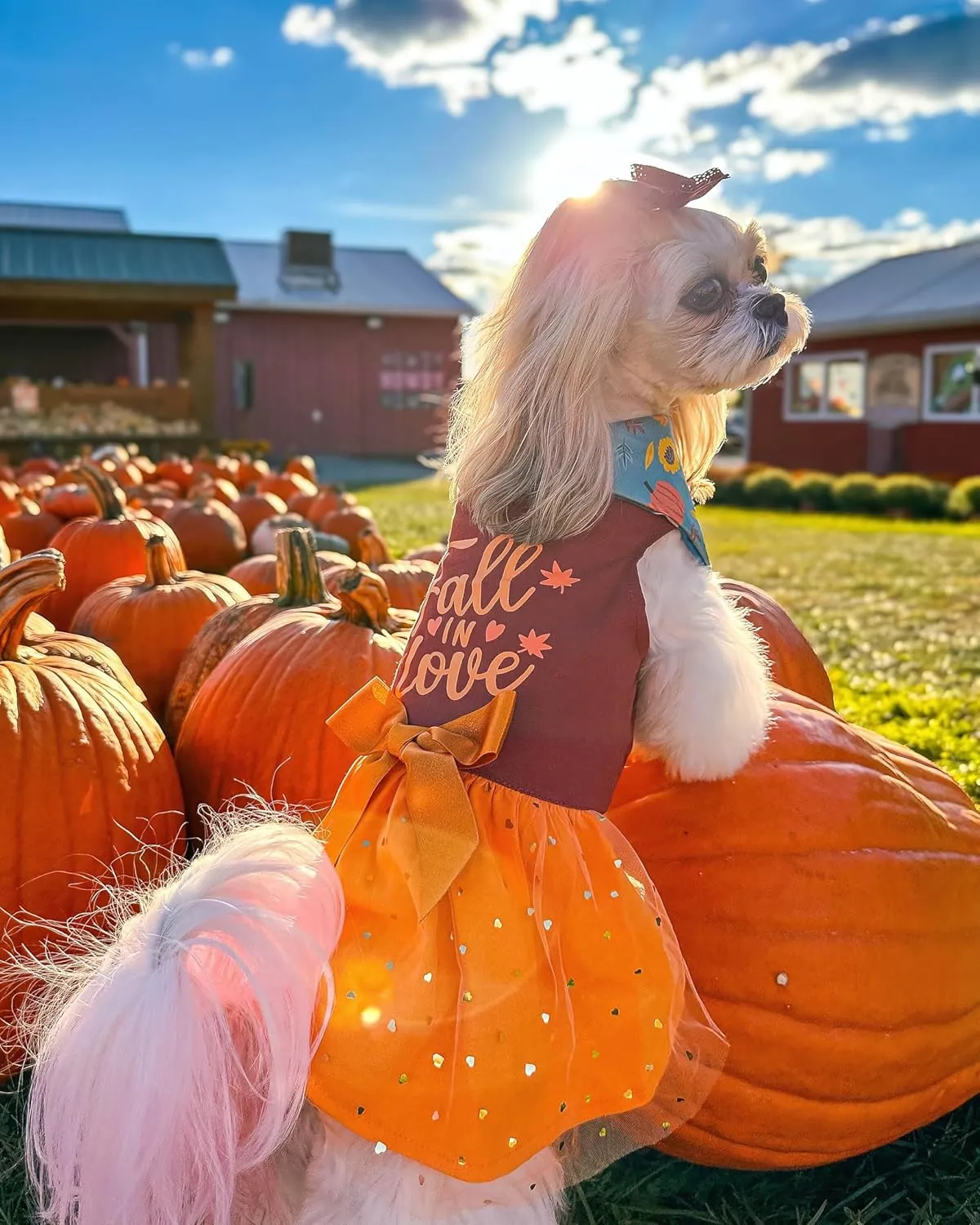 Fitwarm Thanksgiving Fall in Love Dog Dress, Sparkly Dog Clothes for Small Dogs Girl, Holiday Pet Tutu Dress, Cat Outfit, Brown, Orange, Medium