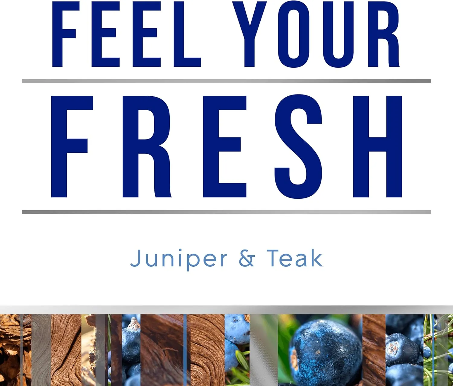 Glade Air Freshener Room Spray, Juniper & Teak Scent, Odor Fighting to Deliver Long Lasting Freshness, 8 Oz, 6 Count