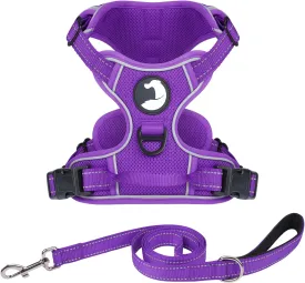 Joytale No Pull Mesh Dog Harness and Reflective Dog 4FT x 1" Leash Combo with Neoprene Handle for Small Dogs (Purple,S)