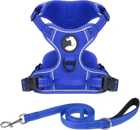 Joytale No Pull Mesh Dog Harness and Reflective Dog 4FT x 1" Leash Combo with Neoprene Handle for Small Dogs (Royal Blue,S)