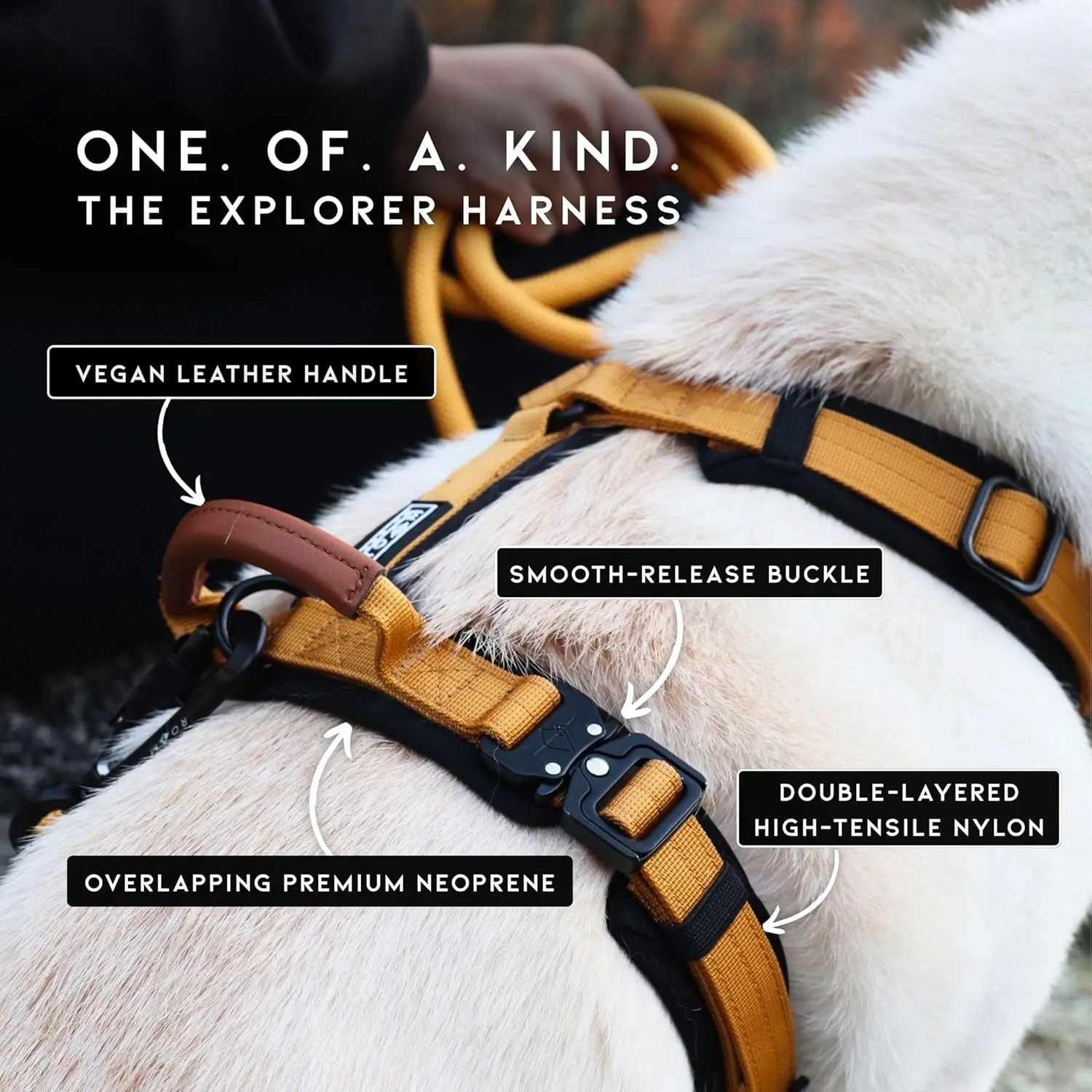MADE TO ROAM Premium Explorer Harness - Y-Shaped Dog Harness with Adjustable Durable Nylon, Soft Padding, Metal Buckles and Leather Handle for Small, Medium, Large Dogs (Oregon Haze, Size 4)