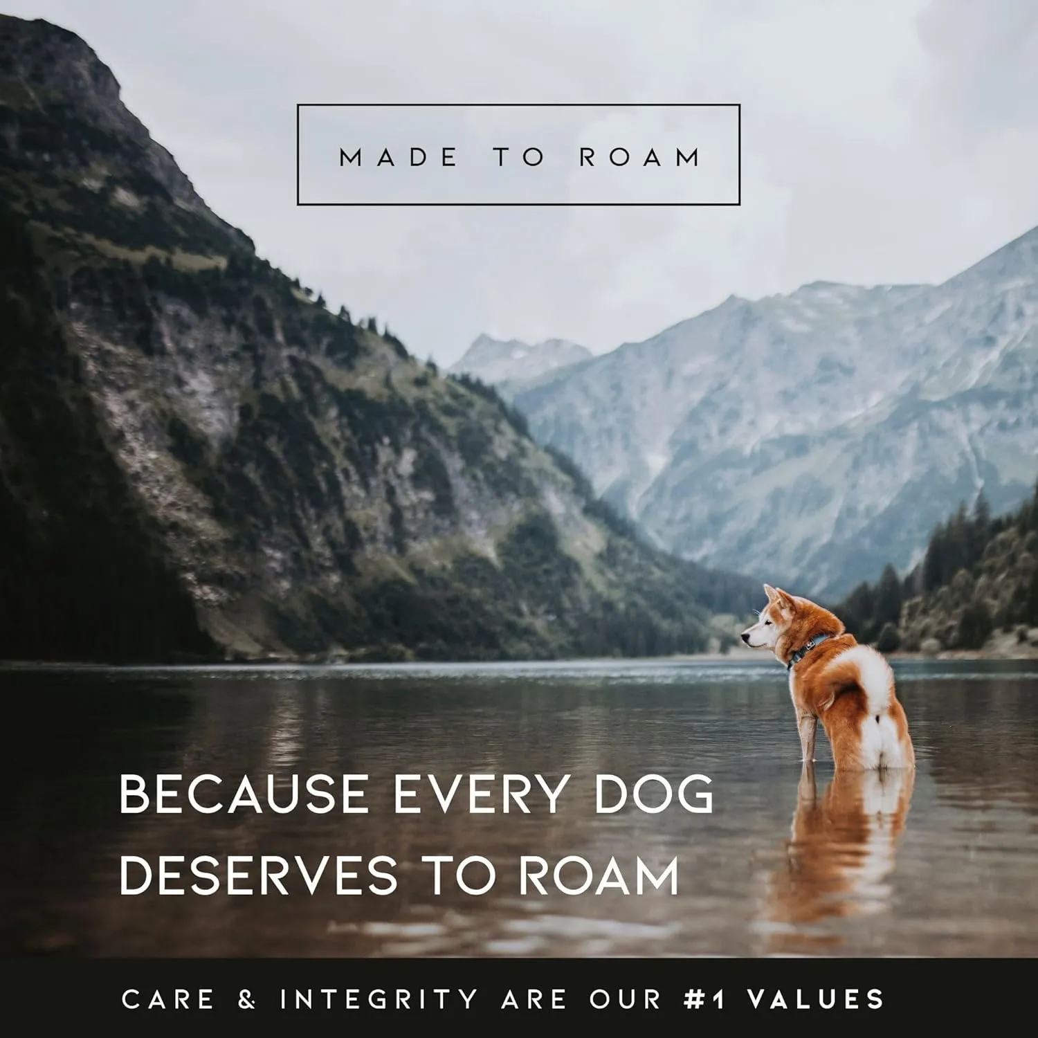 MADE TO ROAM Premium Explorer Harness - Y-Shaped Dog Harness with Adjustable Durable Nylon, Soft Padding, Metal Buckles and Leather Handle for Small, Medium, Large Dogs (Oregon Haze, Size 4)
