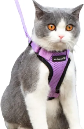 Mr. Peanut's PurrTrek Reflective Cat Harness with Matching Leash (Extra Small, Lilac)