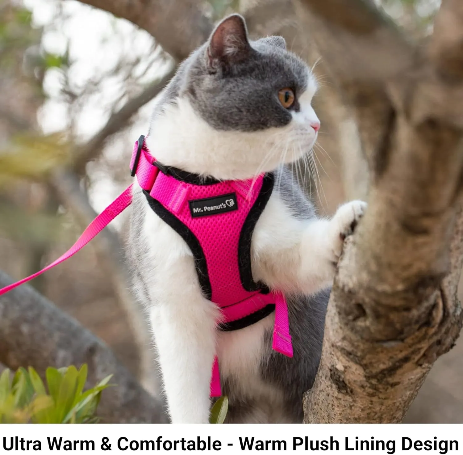 Mr. Peanut's PurrTrek Reflective Cat Harness with Matching Leash (Extra Small, Lilac)