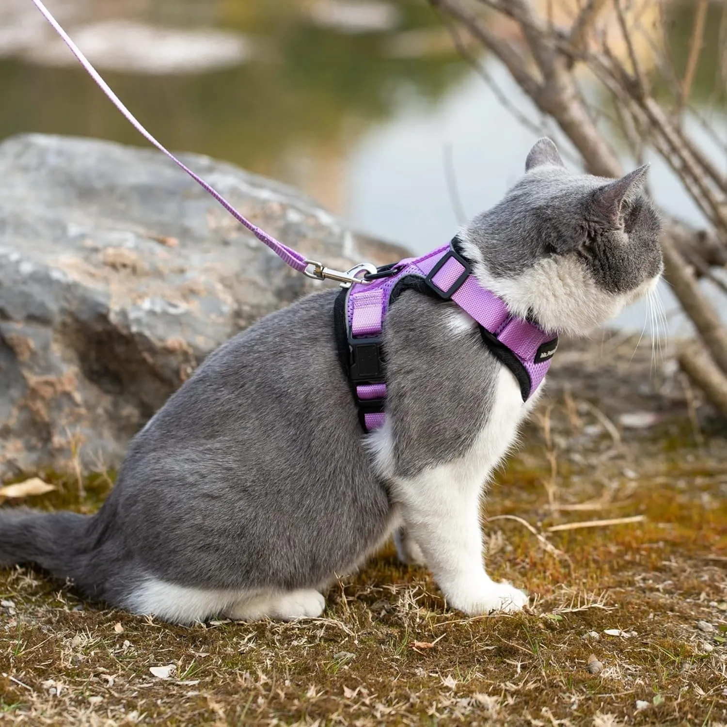 Mr. Peanut's PurrTrek Reflective Cat Harness with Matching Leash (Extra Small, Lilac)