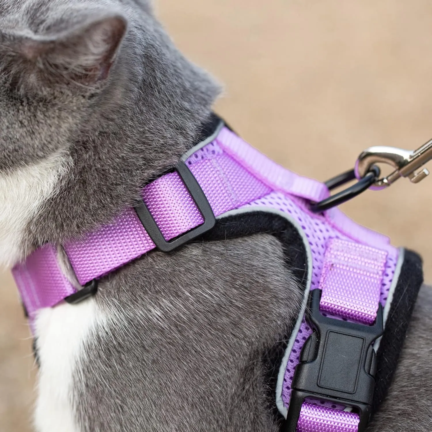 Mr. Peanut's PurrTrek Reflective Cat Harness with Matching Leash (Extra Small, Lilac)