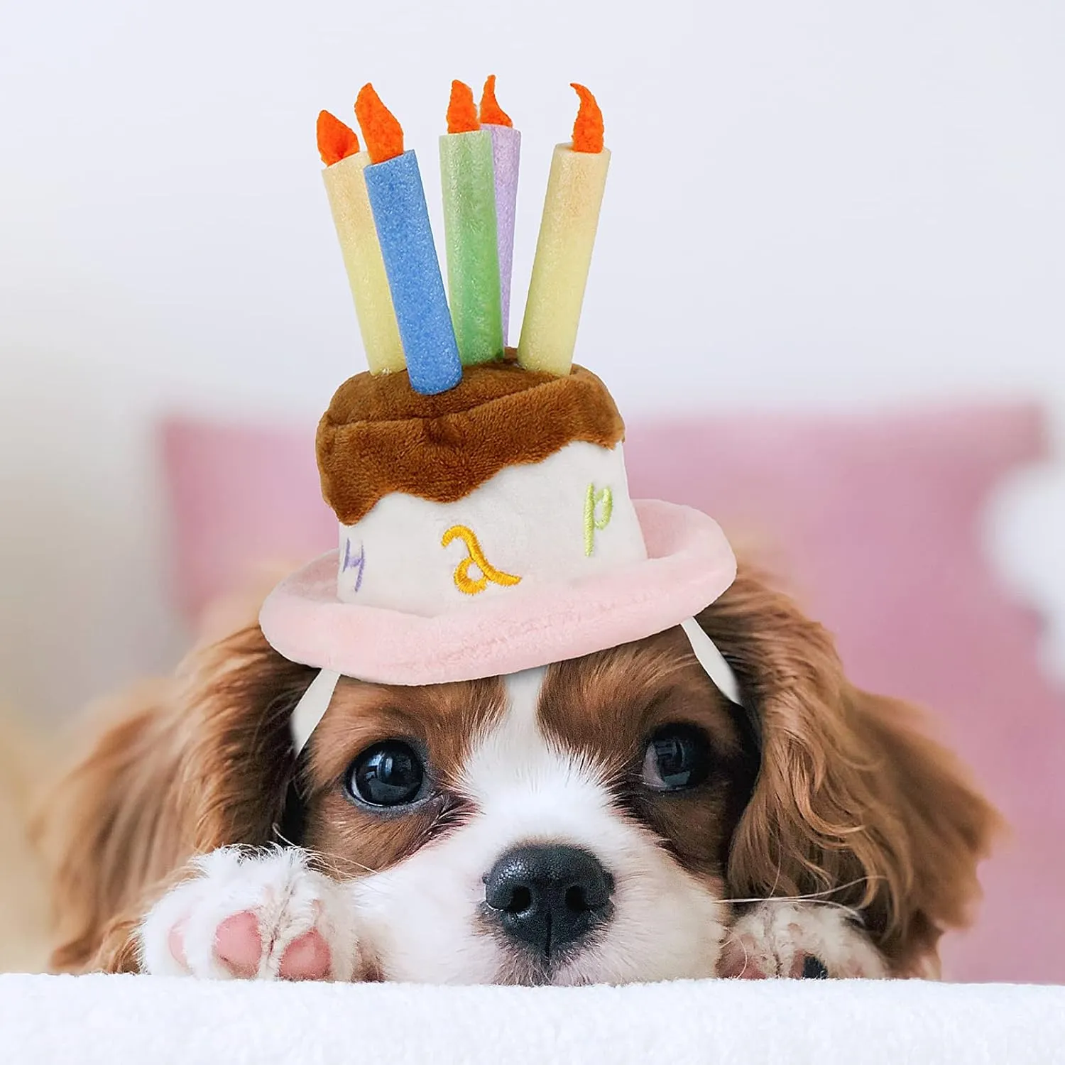 Namsan Cat Birthday Hat, Valentine Hat for Cats Small Dogs, Lucky Cat Birthday Cake Costume, Puppy Party Supplies, Small, Pink