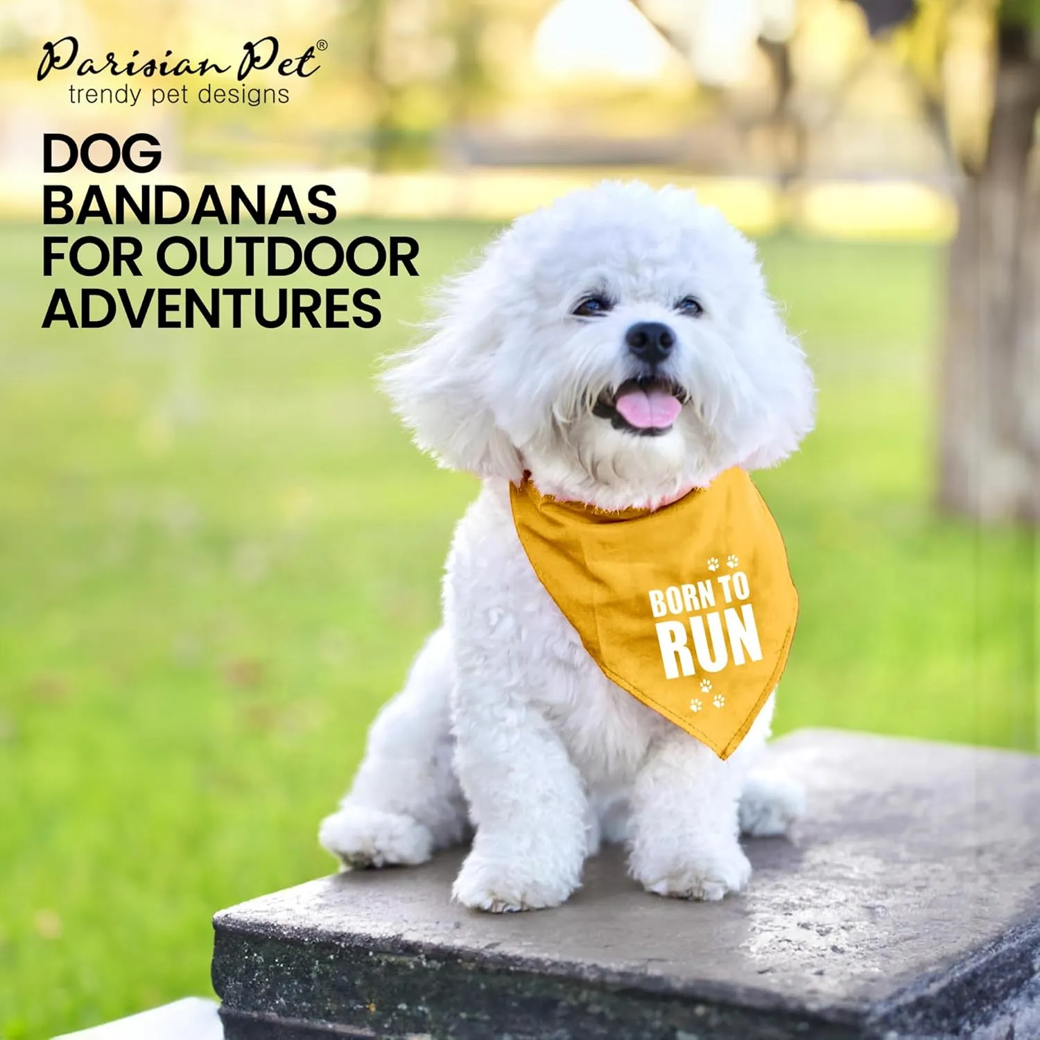 Parisian Pet Born to Run Dog Bandana, Medium