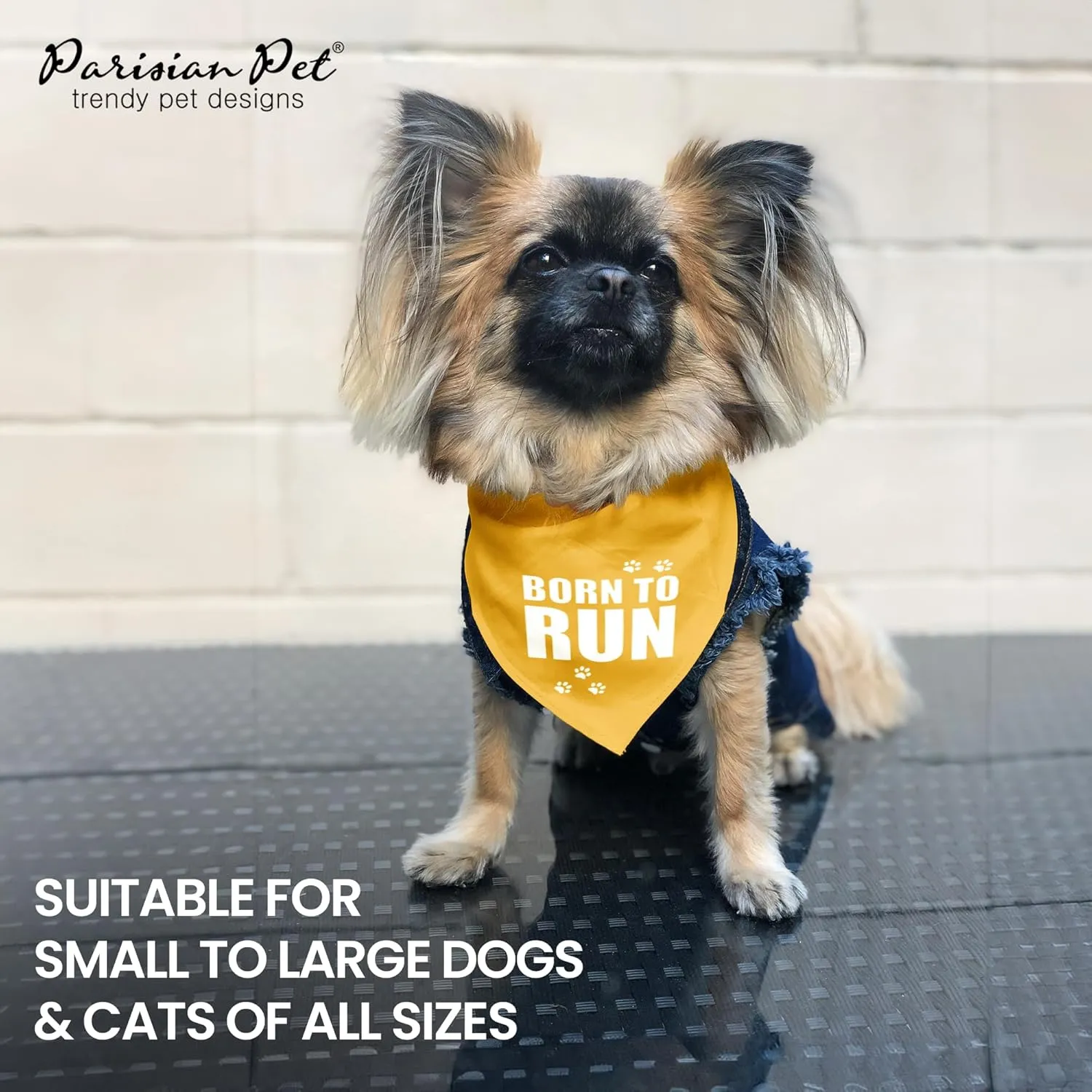 Parisian Pet Born to Run Dog Bandana, Medium