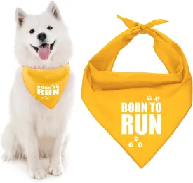 Parisian Pet Born to Run Dog Bandana, Medium