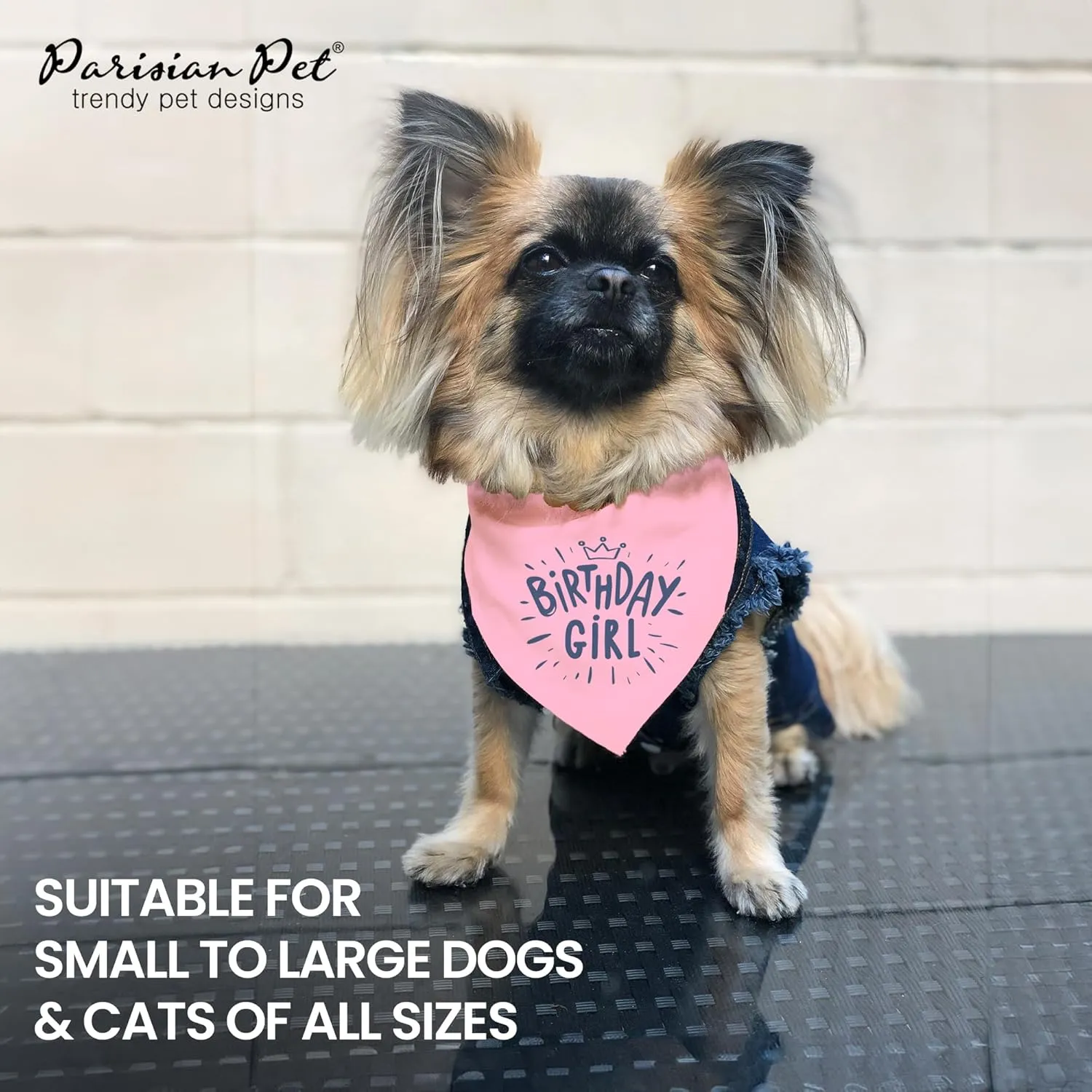 Parisian Pet Dog Bandanas with Printed 'Birthday Girl' Words - Adjustable Triangle Dog Scarf - Dog Birthday Bandana for Large Girl Dogs - Washable Birthday Dog Bib - Handkerchief for Pets