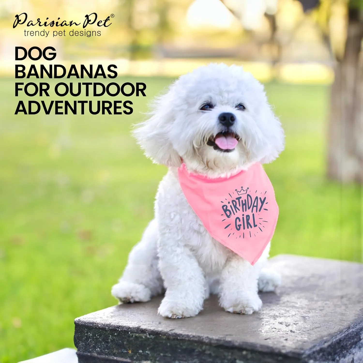 Parisian Pet Dog Bandanas with Printed 'Birthday Girl' Words - Adjustable Triangle Dog Scarf - Dog Birthday Bandana for Large Girl Dogs - Washable Birthday Dog Bib - Handkerchief for Pets