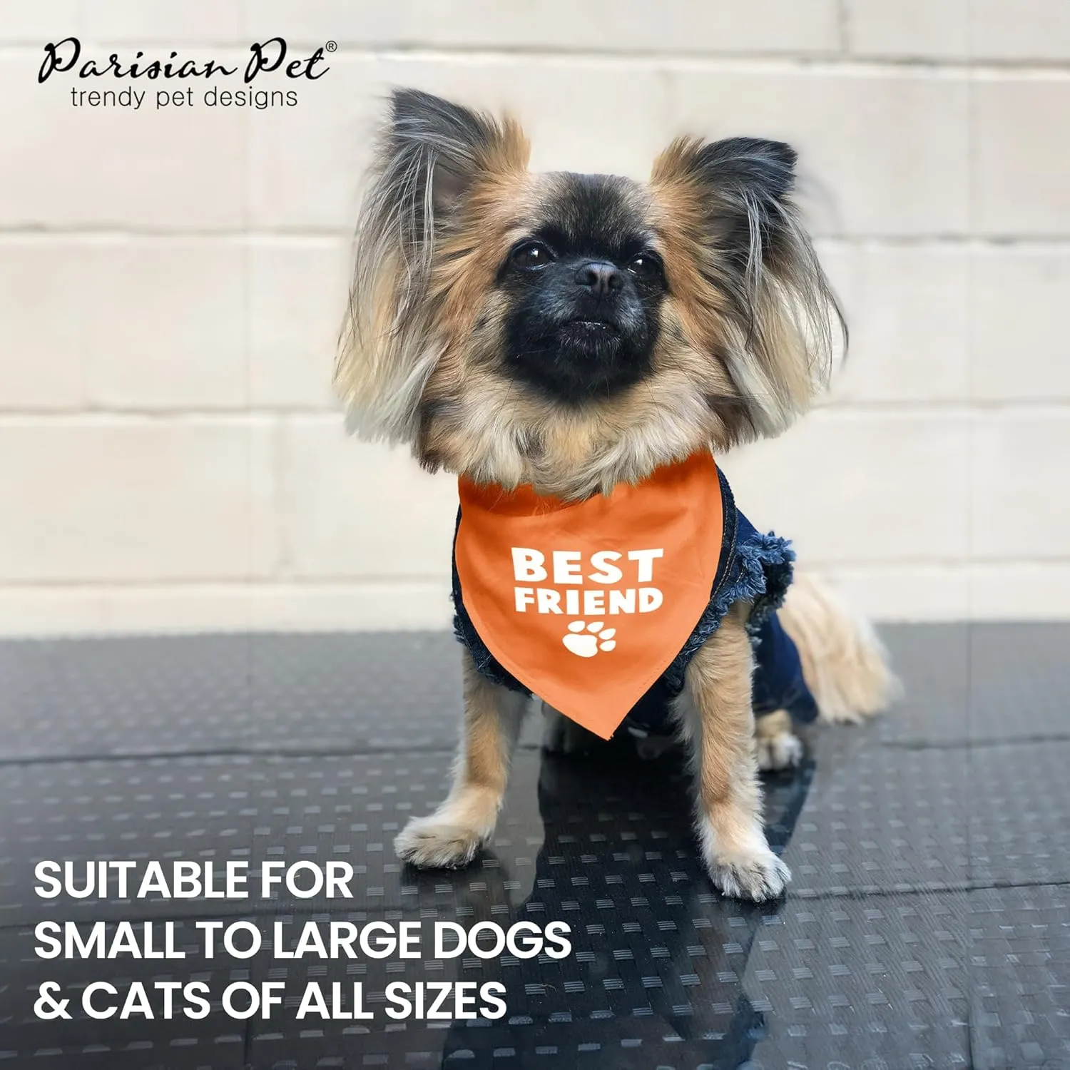 Parisian Pet Unisex Dog Bandanas with Printed 'Best Friend' Words -Tie-On Adjustable Polyester Dog Scarf for Large Dogs - Washable Triangle Dog Bib - Orange Handkerchief for Pets - L