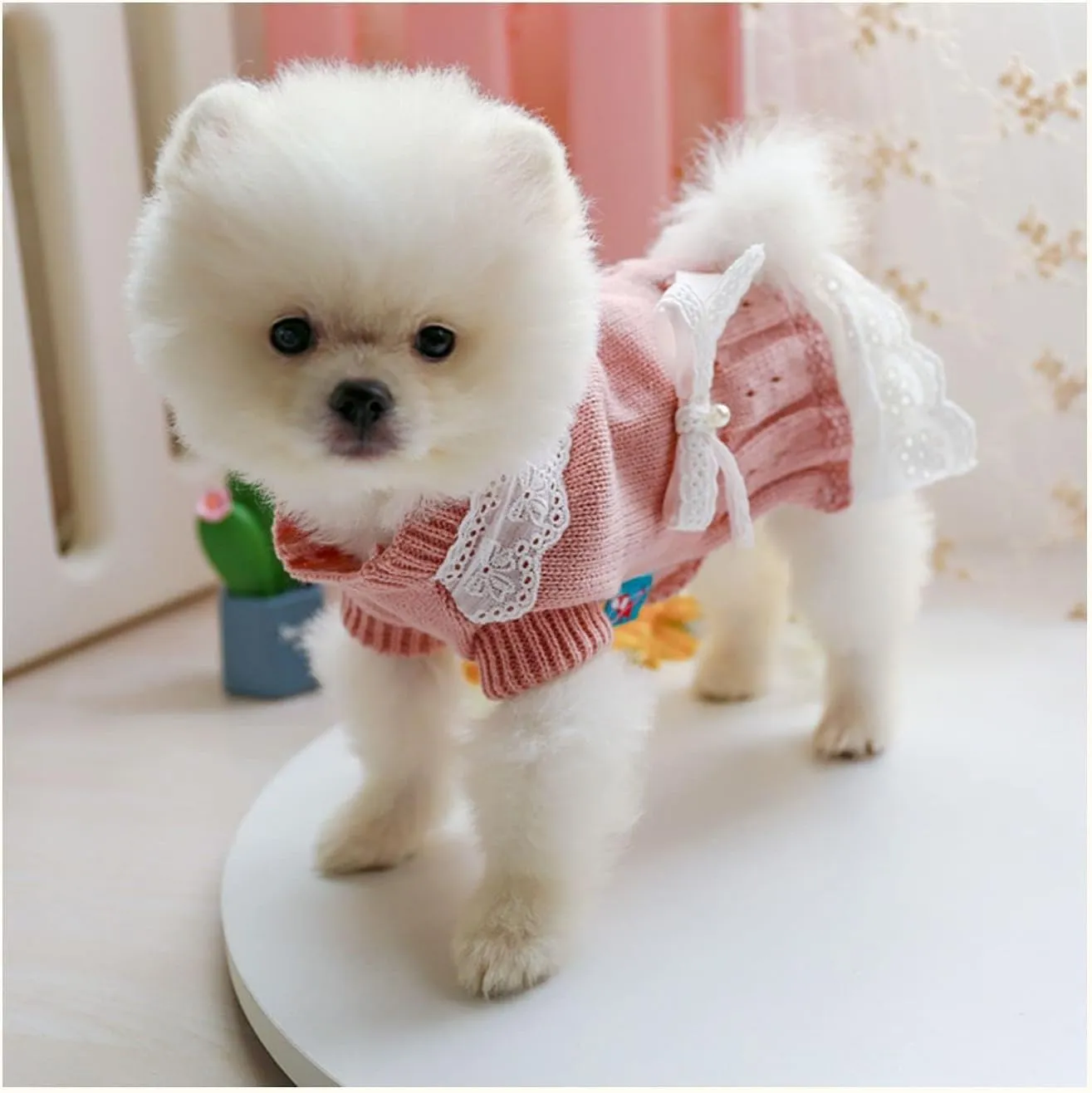 Pet Sweater Dress Small Dog Dress with Bow Female Warm Dog Princess Lace Dress Clothes Dachshund Chihuahua Corgi Cat Dress for Christmas Birthday Thanksgiving Day Valentines Day (Pink, Large)