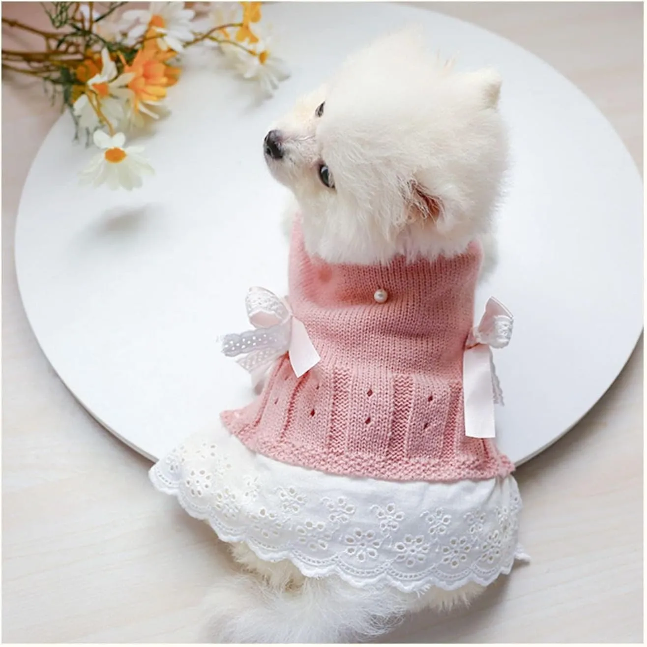 Pet Sweater Dress Small Dog Dress with Bow Female Warm Dog Princess Lace Dress Clothes Dachshund Chihuahua Corgi Cat Dress for Christmas Birthday Thanksgiving Day Valentines Day (Pink, Large)