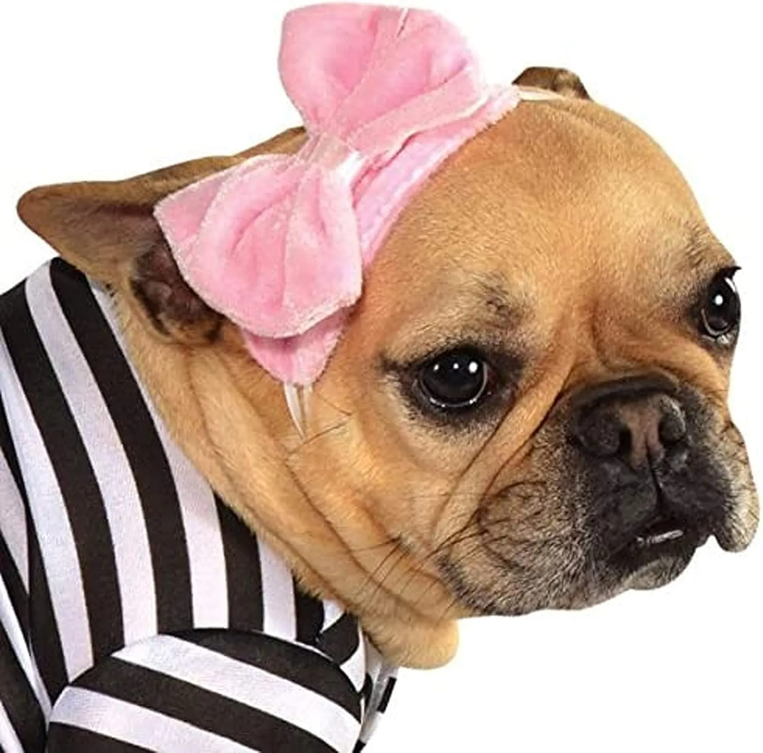 Rubies 50s Girl Pet Costume for Themed Parties and Halloween, As Shown, Medium