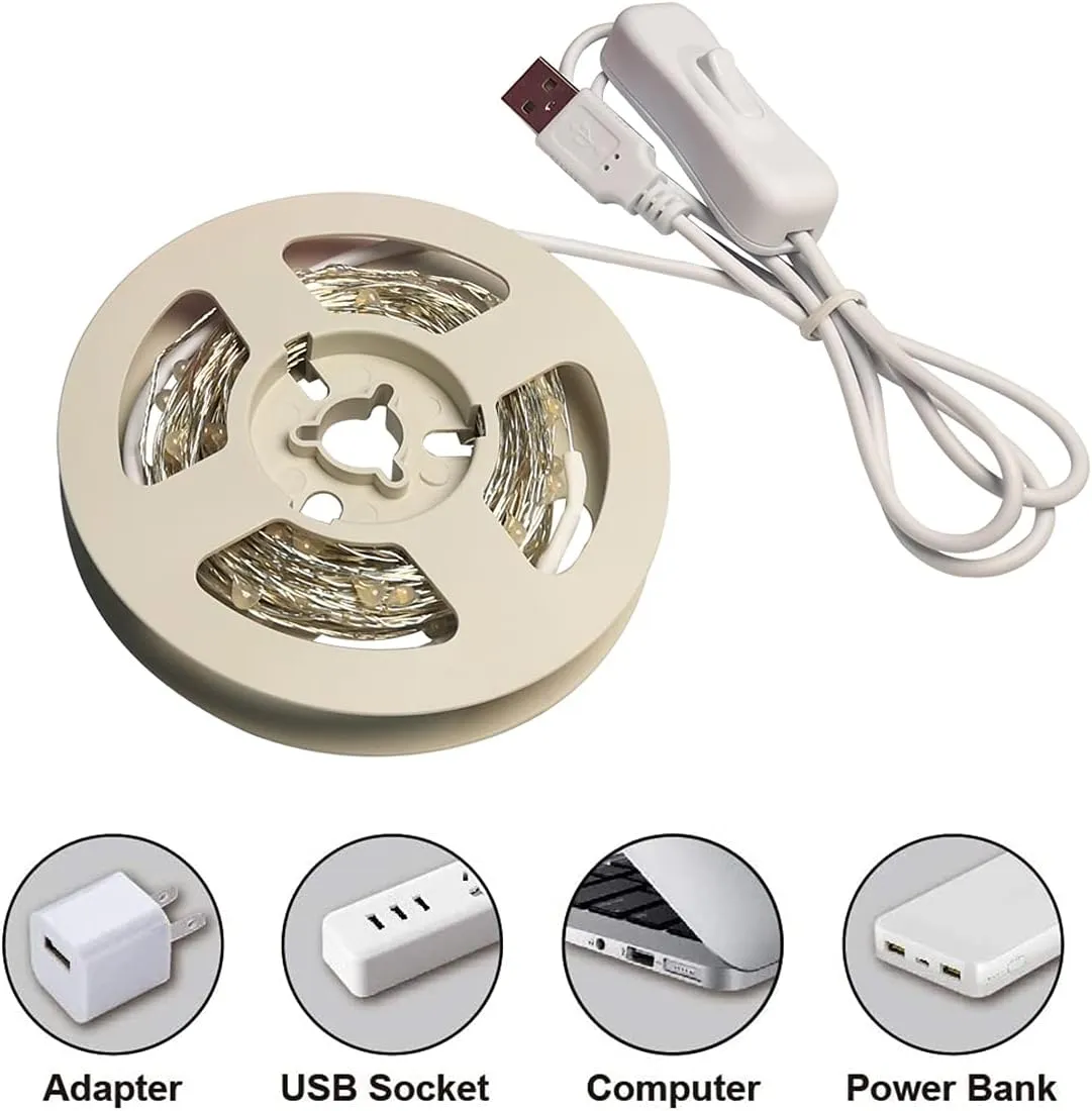 RUICHEN Silver Wire 33 Ft 100 LED USB Fairy String Lights with On/Off Switch (Multicolor)