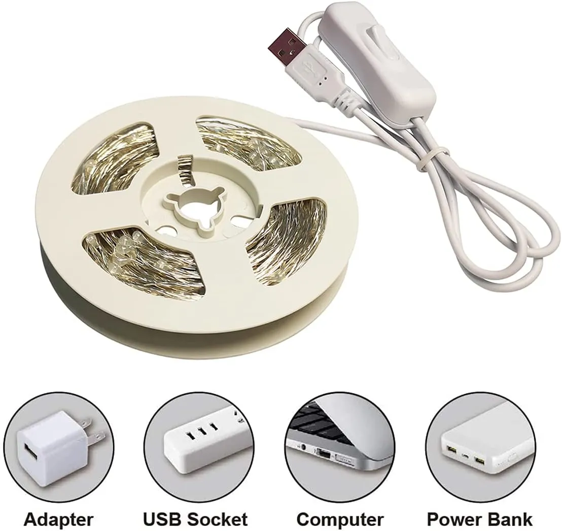 RUICHEN USB Fairy Lights 66 Ft 200 LED String Lights with On/Off Switch (Multicolor, 2 Pack)