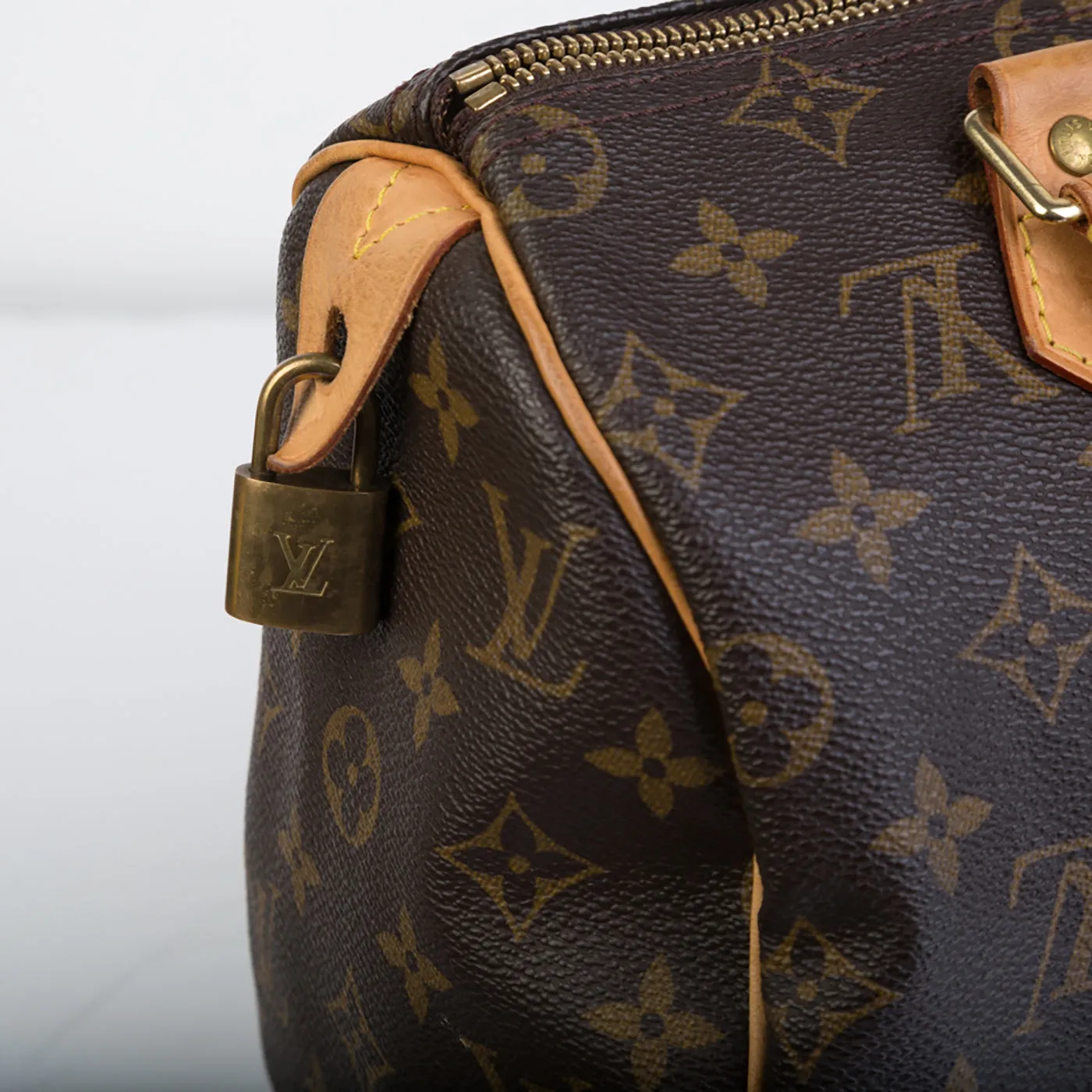 Speedy - Monogram Canvas