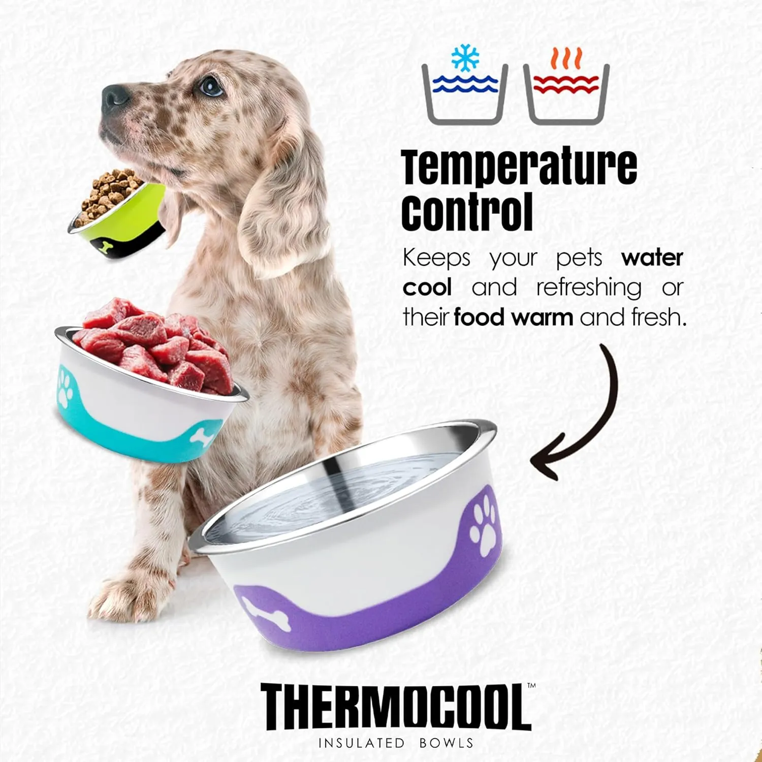 Thermocool Stainless Steel Dog Bowls, Non Slip, No Spill Insulated Dog Bowl, Keeps Food Warm & Water Cold for Dogs, Dishwasher Safe (Blue, Small 8 Oz)